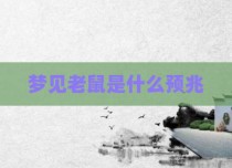 梦见老鼠是什么预兆