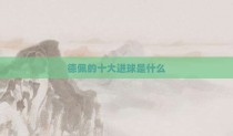 德佩的十大进球是什么