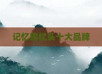 记忆棉枕头十大品牌