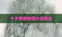 十大奇葩校园小说男主