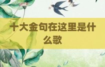 十大金句在这里是什么歌