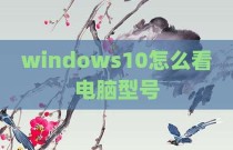 windows10怎么看电脑型号