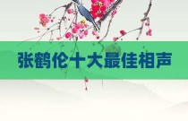 张鹤伦十大最佳相声