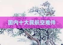 国内十大民航空难件