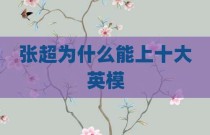 张超为什么能上十大英模