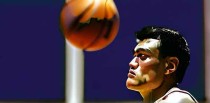 姚明十大最佳外援球员