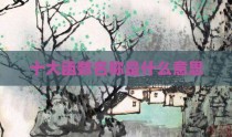 十大函数名称是什么意思