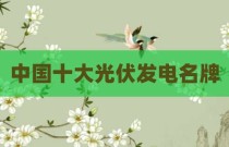 中国十大光伏发电名牌