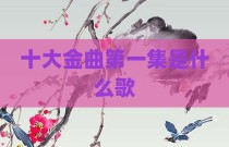 十大金曲第一集是什么歌