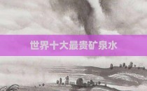 世界十大最贵矿泉水