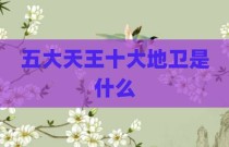 五大天王十大地卫是什么