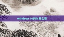windows10的iis怎么看