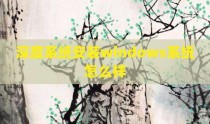 深度系统安装windows系统怎么样