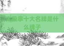太极拳十大名牌是什么牌子