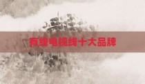 有线电视线十大品牌