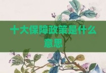 十大保障政策是什么意思