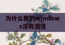 为什么我的windows没有激活