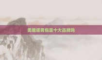 美雅诺男包是十大品牌吗