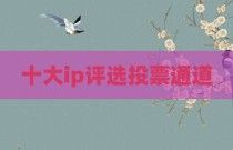 十大ip评选投票通道