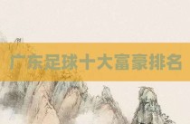 广东足球十大富豪排名