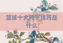 篮球十大胯下技巧是什么