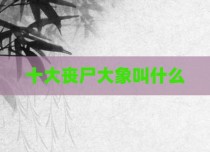十大丧尸大象叫什么