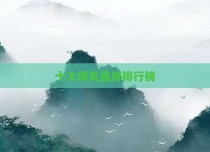 十大假发品牌排行榜