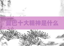 曼巴十大精神是什么