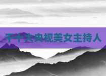 干十大央视美女主持人