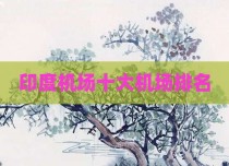 印度机场十大机场排名