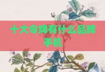 十大令牌有什么品牌手机