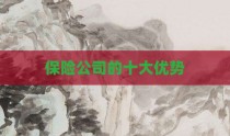 保险公司的十大优势