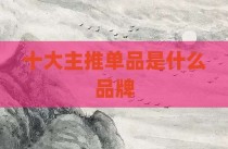 十大主推单品是什么品牌