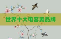 世界十大电容麦品牌