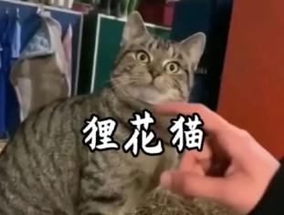 QQ截图20250831235509.png