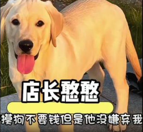 QQ截图20260131161553.png