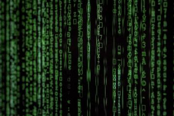 大学生黑灰产项目全揭秘：从校园水军到网赌偷拍，哪些最挣钱？