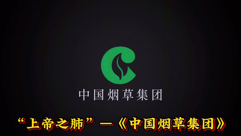 “上帝之肺”—《中国烟草集团》