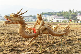 宋朝以前没有棉被，古人靠什么熬过寒冬？
