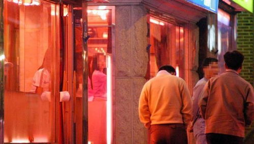 为什么包养没事，嫖娼却会被拘留？法律边界一次讲清
