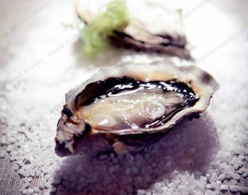 中国最脏的十种食物，看完你还敢吃吗？
