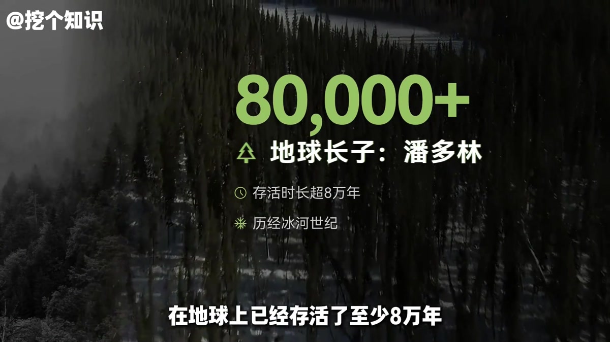 树到底有没有寿命极限？植物“长生”的秘密在哪里