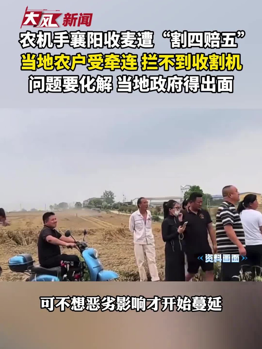 襄阳收麦“割四赔五”风波：别让个别纠纷拖累农机手与农户