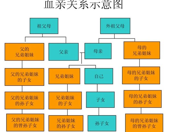 亲姐弟算直系亲属吗？法律上答案是不算