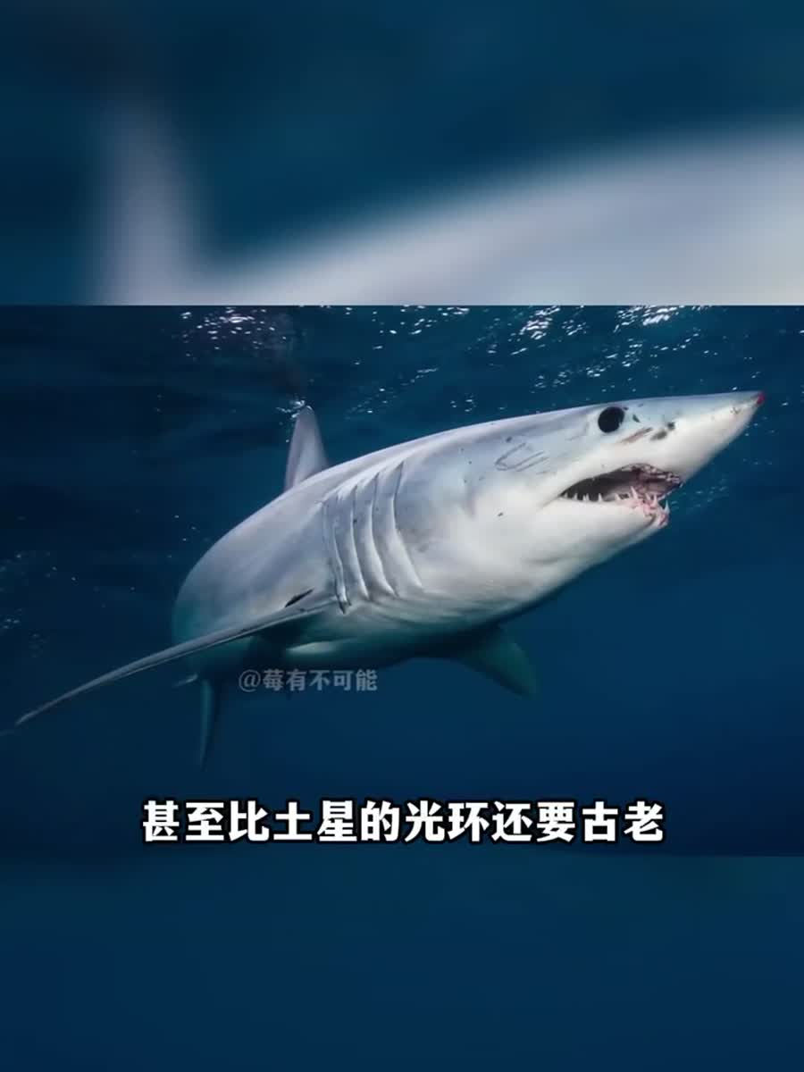 10个打乱时间线的冷知识，看完会重新理解历史先后