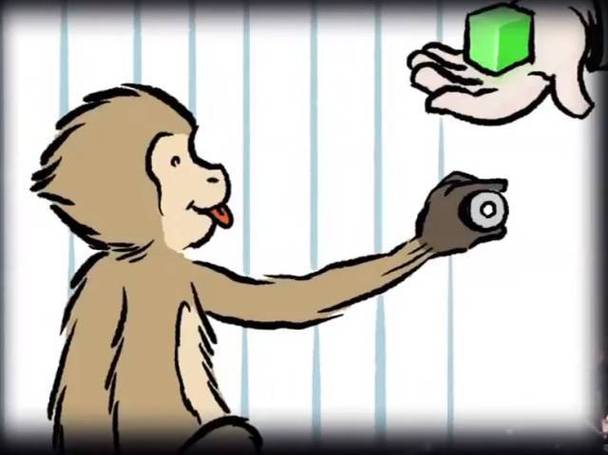 为什么说吃喝嫖赌才是底层代码？耶鲁大学猴子货币实验揭示人性本质