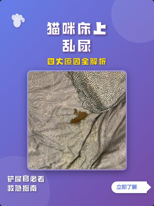 猫咪身上究竟有多少bug？教你几招科学养猫