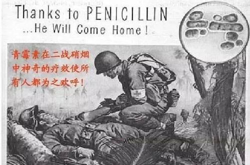 为什么青霉素在二战能卖得比黄金还贵？三吨金条换一斤