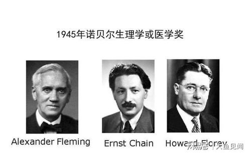 为什么青霉素在二战能卖得比黄金还贵？三吨金条换一斤