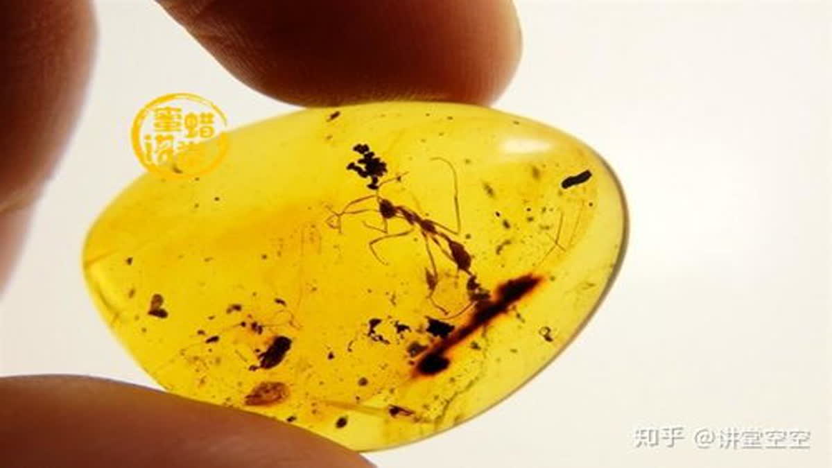 既然琥珀里的昆虫万年不腐，古人为什么不用琥珀给尸体防腐？
